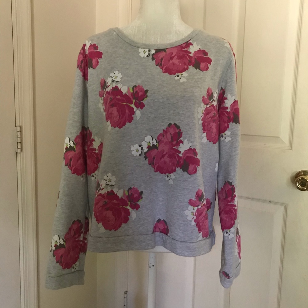 Ann Taylor LOFT sweatshirt